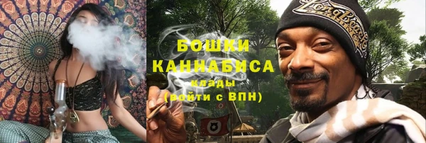 2c-b Заводоуковск