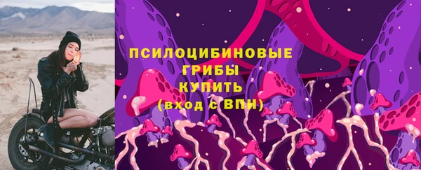2c-b Заводоуковск